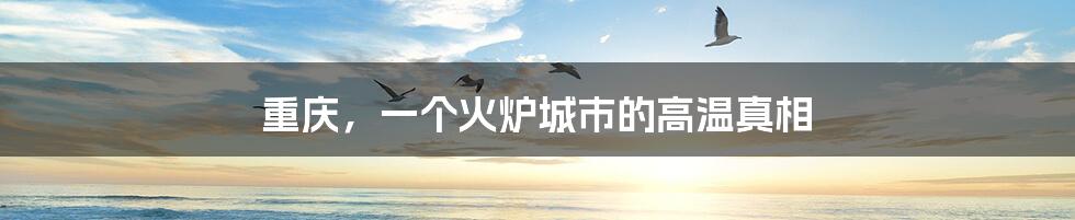 重庆,一个火炉城市的高温真相