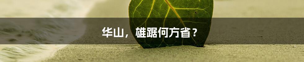 华山，雄踞何方省？
