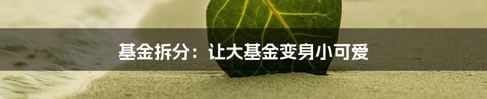 基金拆分：让大基金变身小可爱