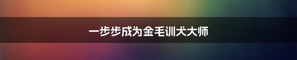 一步步成为金毛训犬大师
