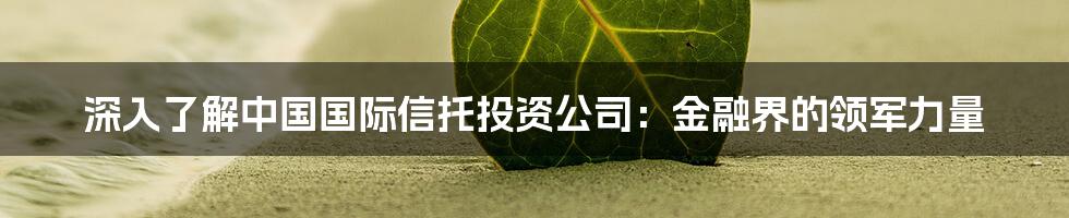 深入了解中国国际信托投资公司:金融界的领军力量