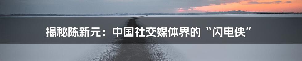 揭秘陈新元:中国社交媒体界的“闪电侠”