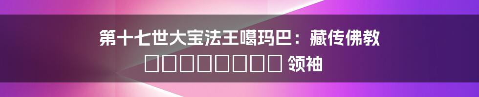 第十七世大宝法王噶玛巴:藏传佛教 духовный 领袖