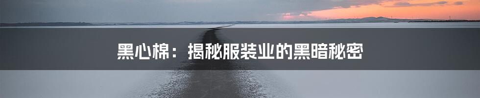 黑心棉：揭秘服装业的黑暗秘密