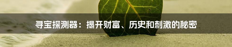寻宝探测器:揭开财富、历史和刺激的秘密