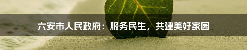 六安市人民政府：服务民生，共建美好家园