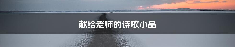 献给老师的诗歌小品
