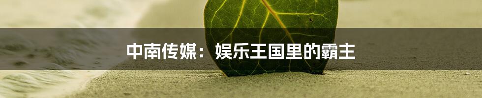中南传媒:娱乐王国里的霸主