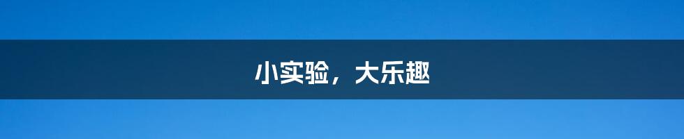 小实验,大乐趣
