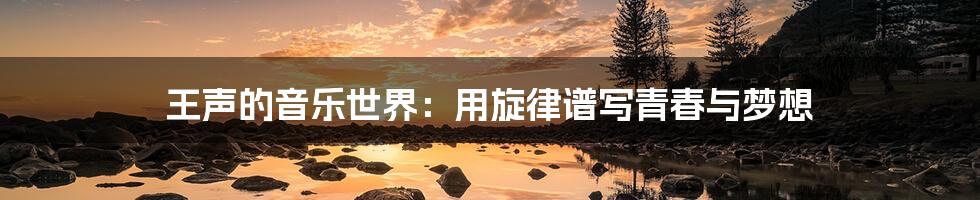王声的音乐世界：用旋律谱写青春与梦想