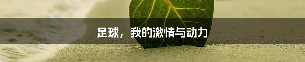 足球,我的激情与动力
