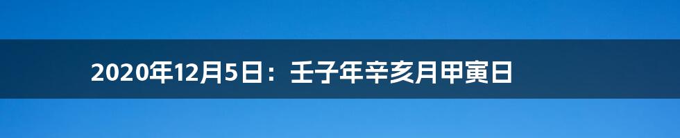 2020年12月5日：壬子年辛亥月甲寅日