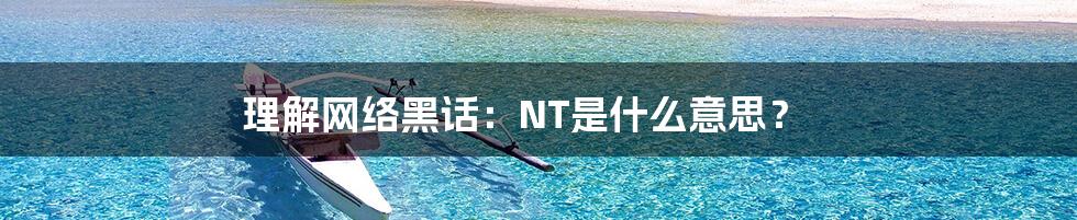 理解网络黑话:NT是什么意思?