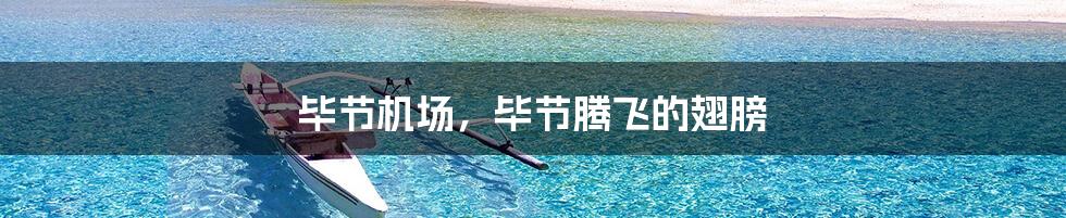 毕节机场,毕节腾飞的翅膀