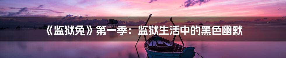 《监狱兔》第一季:监狱生活中的黑色幽默