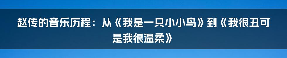 赵传的音乐历程：从《我是一只小小鸟》到《我很丑可是我很温柔》