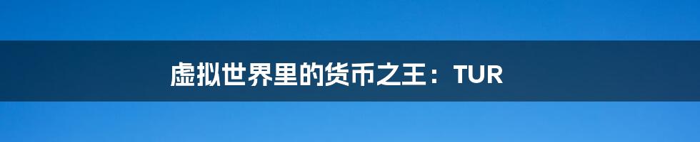 虚拟世界里的货币之王:TUR