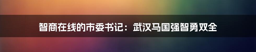 智商在线的市委书记:武汉马国强智勇双全