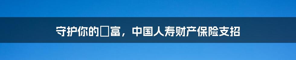 守护你的財富,中国人寿财产保险支招