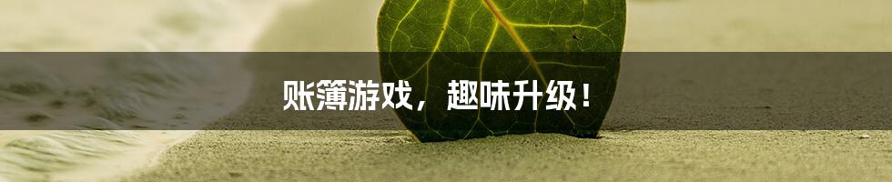 账簿游戏,趣味升级!
