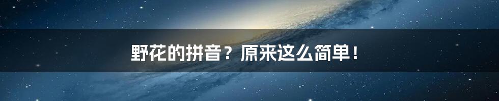 野花的拼音？原来这么简单！