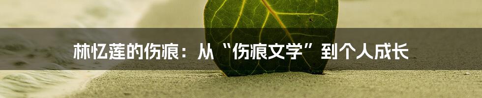 林忆莲的伤痕:从“伤痕文学”到个人成长