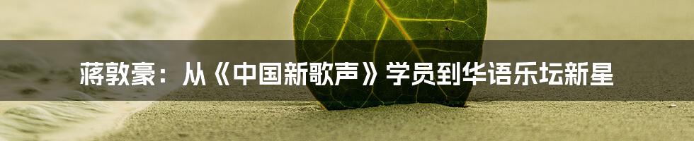 蒋敦豪:从《中国新歌声》学员到华语乐坛新星