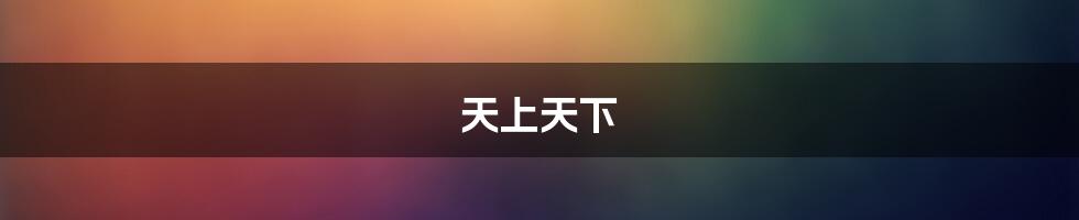 天上天下