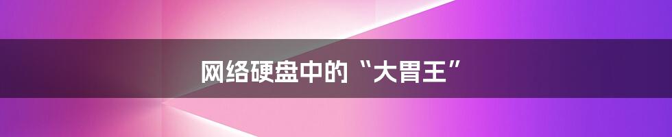 网络硬盘中的“大胃王”
