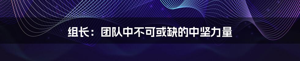 组长:团队中不可或缺的中坚力量
