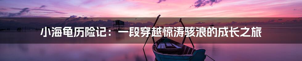 小海龟历险记:一段穿越惊涛骇浪的成长之旅