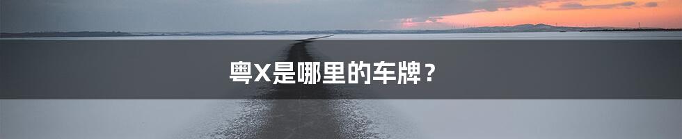 粤X是哪里的车牌?