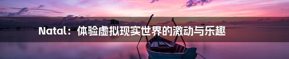 Natal:体验虚拟现实世界的激动与乐趣