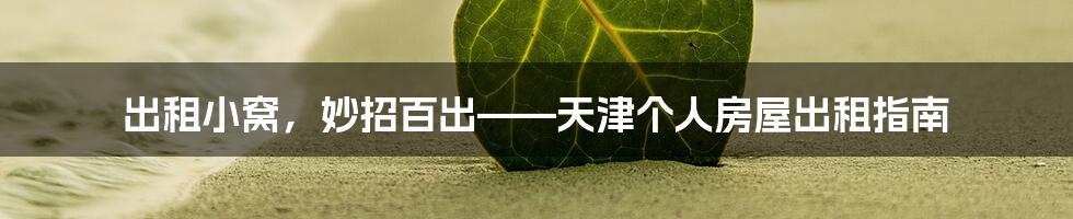 出租小窝,妙招百出——天津个人房屋出租指南