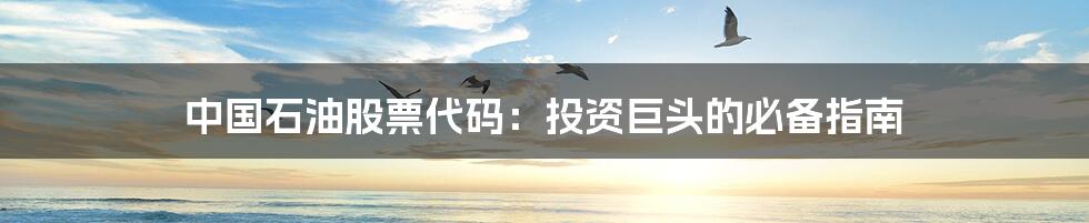 中国石油股票代码:投资巨头的必备指南