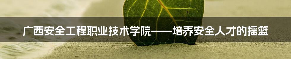 广西安全工程职业技术学院——培养安全人才的摇篮