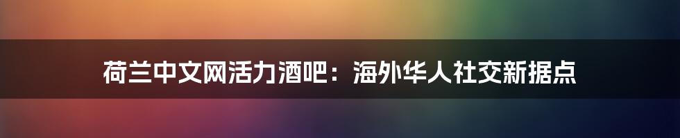 荷兰中文网活力酒吧：海外华人社交新据点