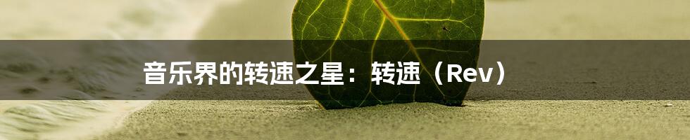 音乐界的转速之星：转速（Rev）