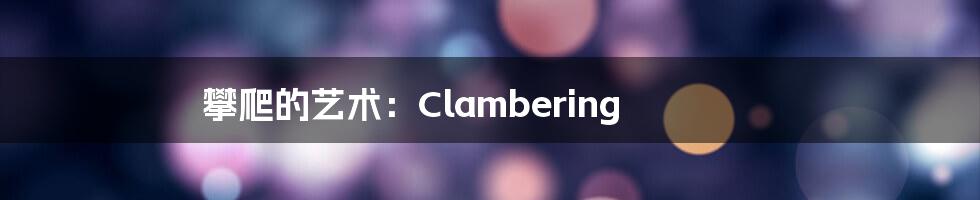 攀爬的艺术:Clambering
