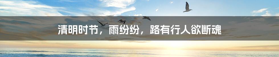 清明时节,雨纷纷,路有行人欲断魂