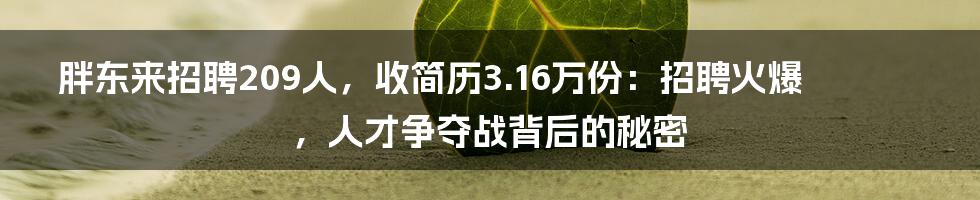 胖东来招聘209人,收简历3.16万份:招聘火爆,人才争夺战背后的秘密