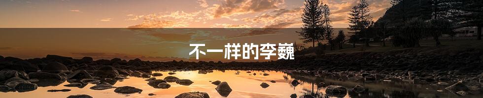 不一样的李巍