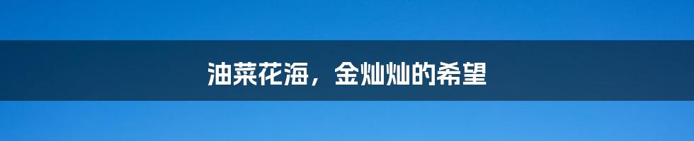 油菜花海，金灿灿的希望