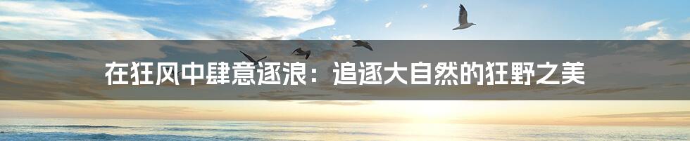 在狂风中肆意逐浪：追逐大自然的狂野之美