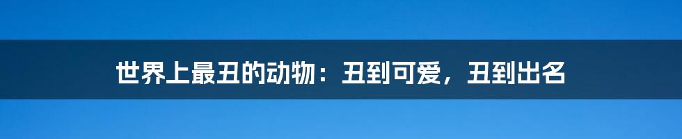 世界上最丑的动物:丑到可爱,丑到出名
