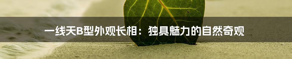 一线天B型外观长相:独具魅力的自然奇观