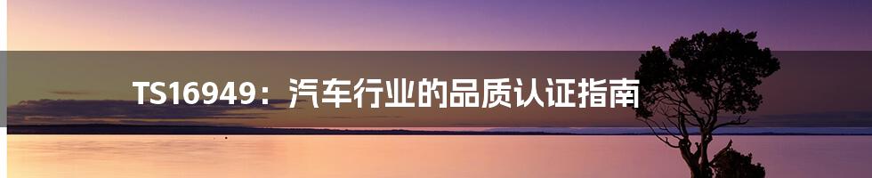 TS16949:汽车行业的品质认证指南