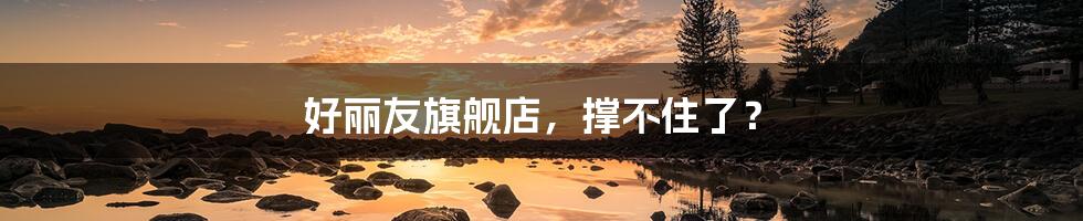 好丽友旗舰店,撑不住了?