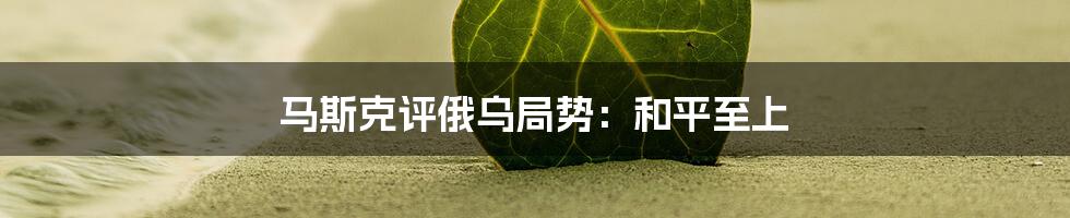 马斯克评俄乌局势:和平至上