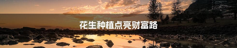 花生种植点亮财富路